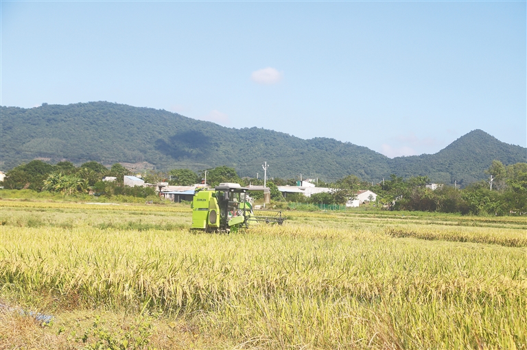 肖王村人口_长治王村机场图片(3)